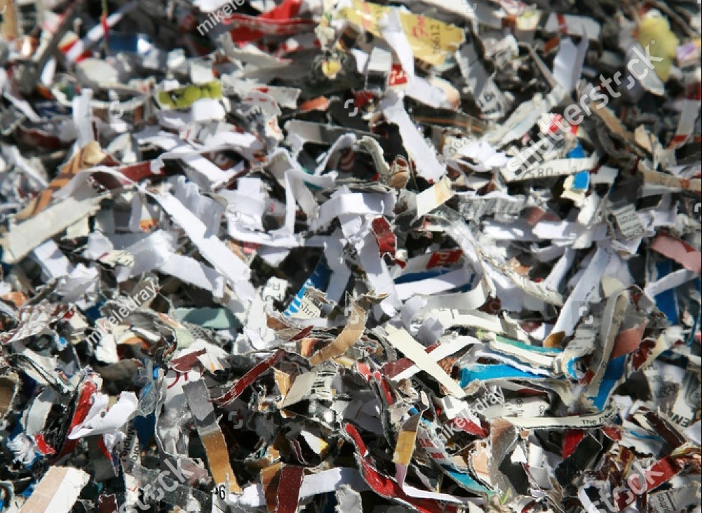 DOCUMENT PURGE SERVICE